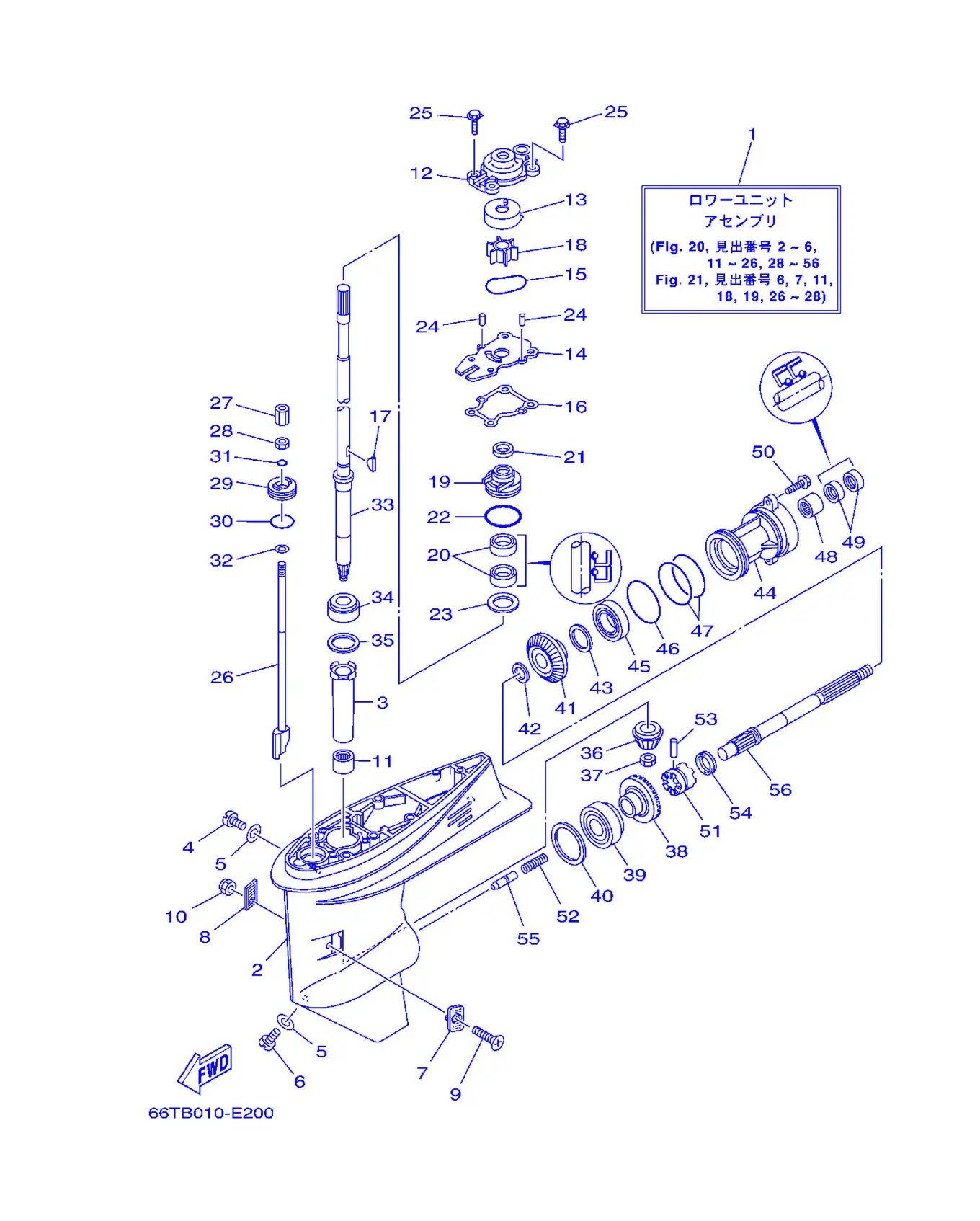 下部壳体与传动 1 Lower Casing & Drive 1 Fig.