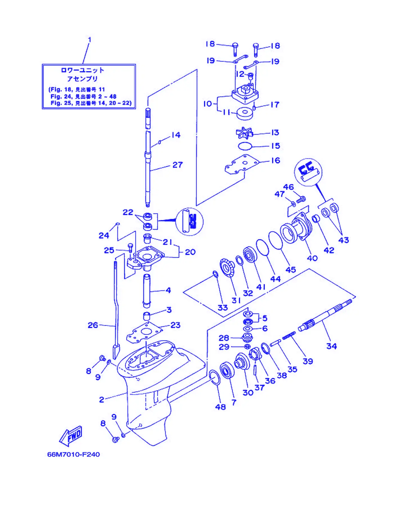 下部壳体与传动 1 Lower Casing & Drive 1 Fig.