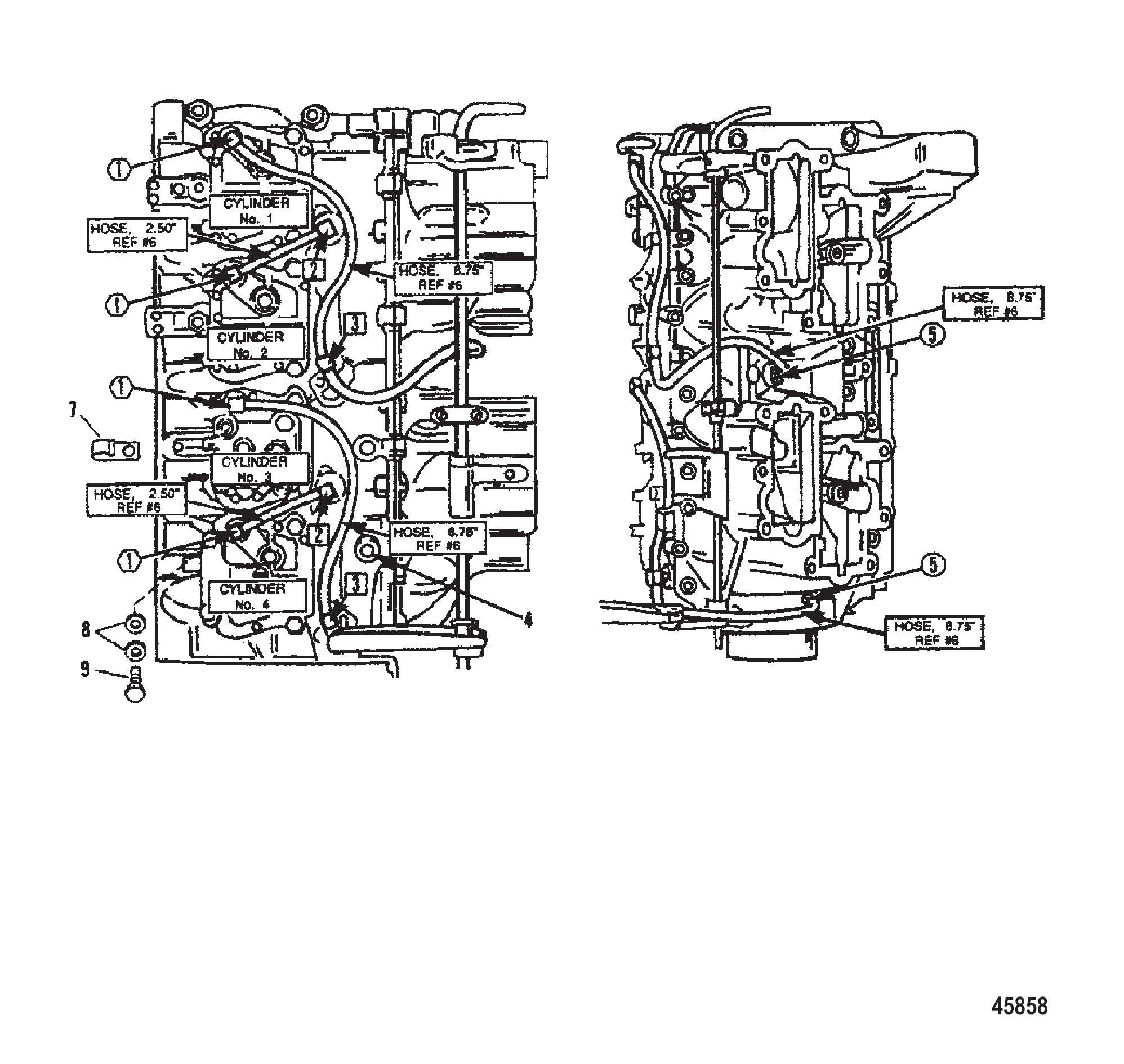 循环系统 Recirculation System
